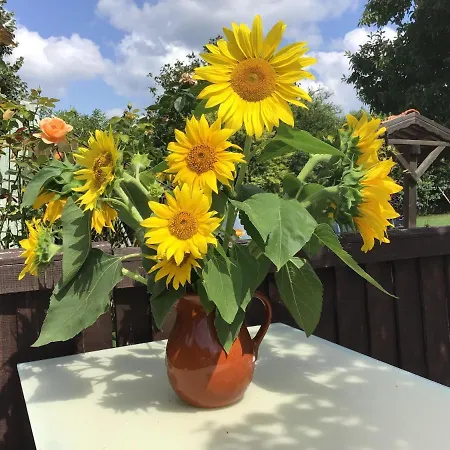 Sunflower Bulgaria Penzion 3*